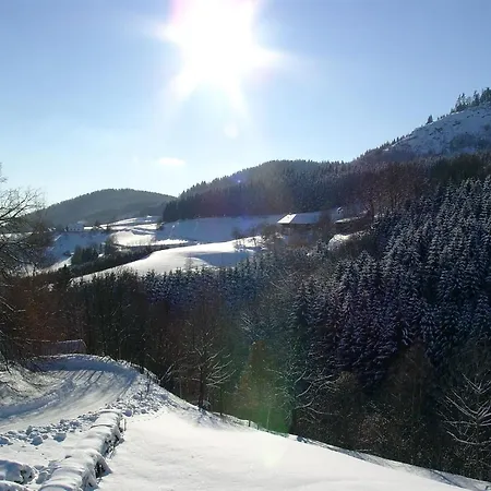 Hotel Fuerst 3*